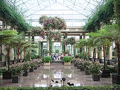 255 Longwood Gardens [2008 August 23]
